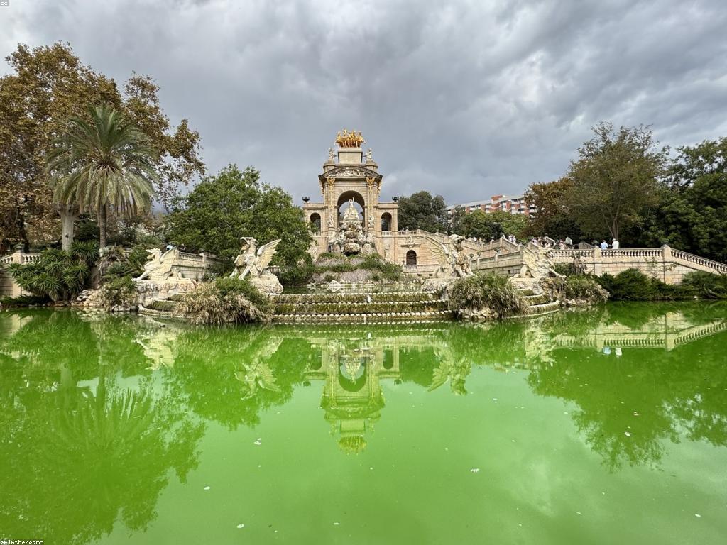 អត្ថប្រយោជន៍ពិសេសដែលអ្នកគួរតែដឹង