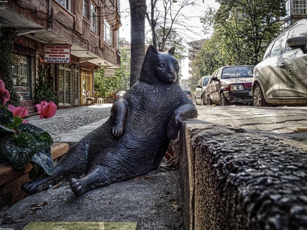 គម្រោងបន្ថែម: ការបន្ថែមសមត្ថភាពសម្រាប់អាជីវកម្មរបស់អ្នក