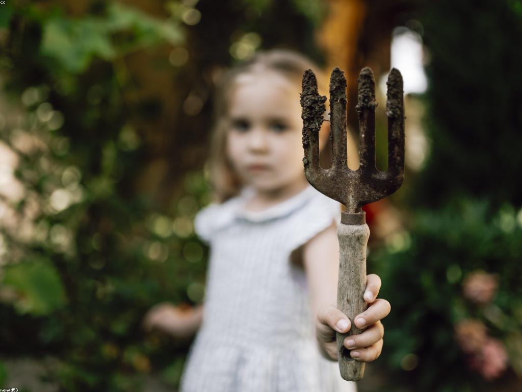 អត្ថប្រយោជន៍ពិសេសនៃការយល់ដឹងអំពីការប្រែប្រួលអាកាសធាតុ